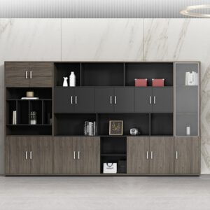 Tủ Đựng Hồ Sơ Văn Phòng Hiện Đại N133