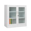Tủ Tài Liệu Sắt H105